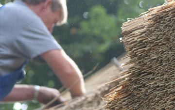 professional Hodthorpe thatchers